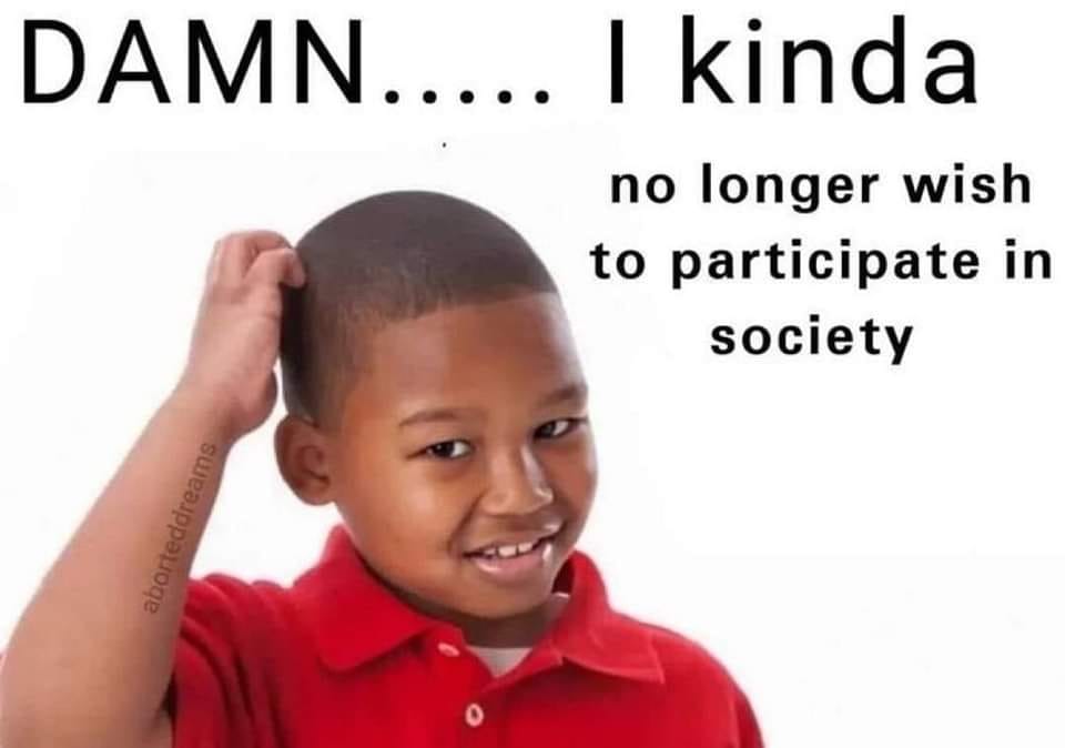 The meme is a humorous image of a young boy with his hand on his forehead, looking puzzled. The text above him reads "DAMN... I kinda no longer wish to participate in society". The meme is likely used to express frustration or annoyance with the demands or expectations of society, and the boy's facial expression is a comedic way to convey that feeling.